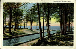 Lake Mitchell Cadillac, MI Postcard Postcard