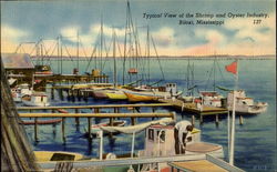 Typical View Of The Shrimp And Oyster Industry Postcard