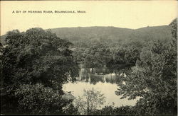 A Bit Of Herring River Postcard