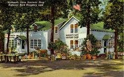 Mammoth Cave Souvenir Shop, National Park Postcard