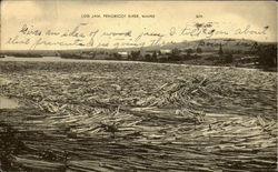 Log Jam Penobscot River, ME Postcard Postcard