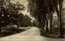 Campus Road , Bowdoin College Postcard