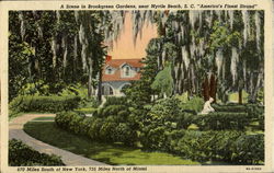 A Scene In Brookgreen Gardens, Mt. Battie Postcard