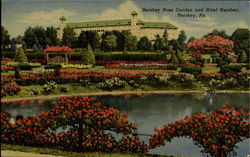 Hershey Rose Garden And Hotel Hershey Postcard