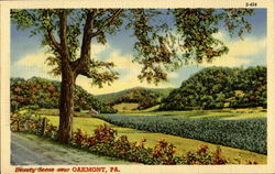 Beauty Scene Near Oakmont Postcard