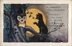 Halloween - Owl, Black Cat, Full Moon Postcard