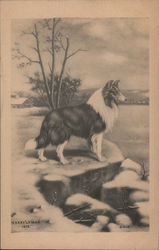 Collie by Harry Lyman 1912 Dogs Marry Lyman Postcard Postcard Postcard