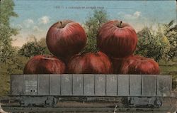 1877 - A CARLOAD OF APPLES FROM Postcard