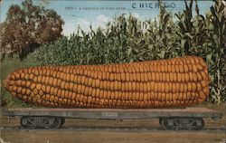 A very large ear of corn on a flat bed trailer Postcard