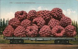 A Carload of Raspberries Postcard