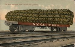 Giant corn on a train: "The kind we raise here - quality and quantity Postcard