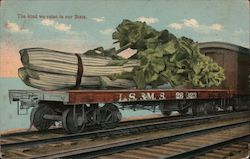 The kind we raise in our State. - Giant Celery on a Rail Deck. Postcard