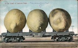 Railroad Car with Three Giant Lemons Exaggeration Postcard Postcard Postcard