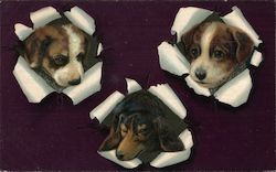 Puppies breaking through Dogs Postcard Postcard Postcard