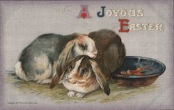 A JOYOUS EASTER - Two Bunnies, Bowl Postcard