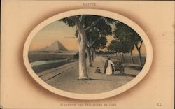 Egypte - L'avenue des pyramides de Gize Postcard