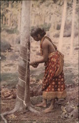 Female Rubber Tapper Sri Lanka Southeast Asia Postcard Postcard Postcard