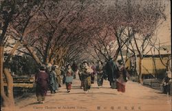 Cherry Blossom at Arakawa Tokyo, Japan Postcard Postcard Postcard