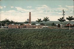 No 11. Sugar Estate-Steam Works Barbados Caribbean Islands Postcard Postcard Postcard