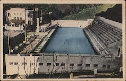 Constantine - La nouvelle Piscine Postcard