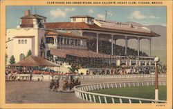 Club House and Grand Stand Postcard