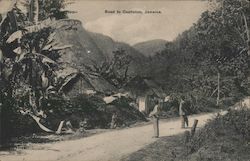 Road to Castleton, Jamaica Postcard Postcard Postcard