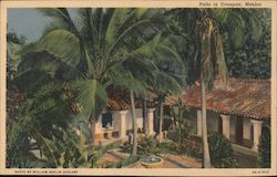 Patio Uruapan, Mexico William Berlin Goolsby Postcard Postcard Postcard