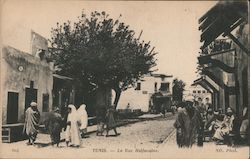 Tunis -- La Rue Halfauoine Tunisia Africa Postcard Postcard Postcard