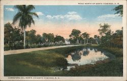 Road North of Santo Domingo, D.R. Postcard