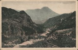 The Roseau Valley, Dominica Postcard