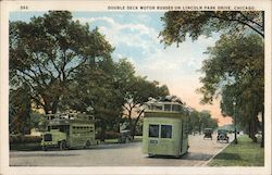 Double Deck Motor Busses on Lincoln Park Drive Postcard