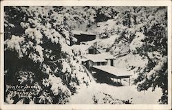 Winter Scene Near Tehachapi, Calif. California Postcard Postcard Postcard