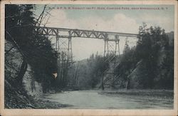 B.R. & P.R.R. Viaduct 180 Ft. high, Cascade Park Springville, NY Postcard Postcard Postcard