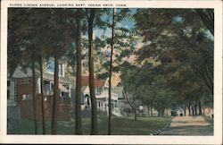 Along Linden Avenue, Looking East Postcard