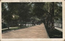 Interlachen Ave Postcard