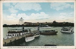 Royal Poinciana from West Palm Beach Postcard