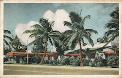 Olney Inn Miami Beach, FL Postcard Postcard Postcard