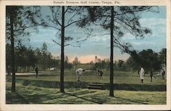 Temple Terraces Golf Course Postcard