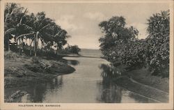 View of Holetown River Barbados Caribbean Islands Postcard Postcard Postcard