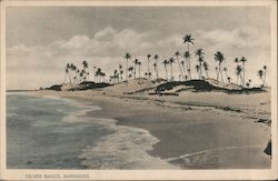 Silver Sands, Barbados Caribbean Islands Postcard Postcard Postcard