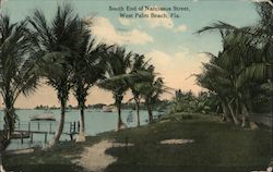 South End of Narcissus Street West Palm Beach, FL Postcard Postcard Postcard