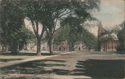 Campus, Yale University Postcard