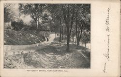 Patterson Spring Camargo, IL Postcard Postcard Postcard