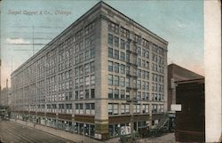 Sieget Cooper & Co. Postcard