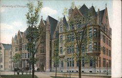 University of Chicago Illinois Postcard Postcard Postcard