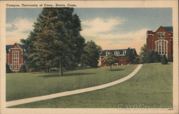 Campus, University Of Conn., Storrs, Conn. Connecticut Postcard