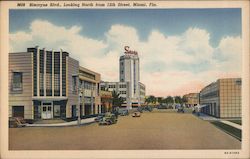 Biscayne Blvd., looking North from 12th Street, Miami, Fla. Florida Postcard Postcard Postcard