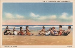 A "Tug of war" on a Florida beach Postcard Postcard Postcard