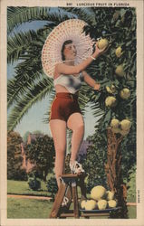 Luscious Fruit in Florida - Woman on Ladder Picking Grapefruit Swimsuits & Pinup Postcard Postcard Postcard