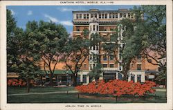 Cawthon Hotel, Mobile, Ala. Azalea time in Mobile Alabama Postcard Postcard Postcard